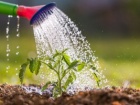 Поливайте сад без необходимости тратить воду впустую